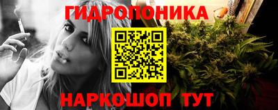 apvp Мариинск